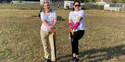 Office and Green Team